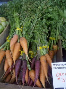 Carrots from Farmer's Mkt