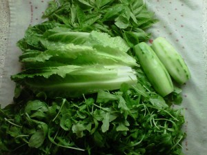 Green vegetables & herbs