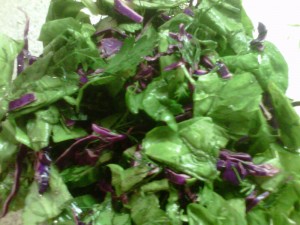 Salad greens spinach