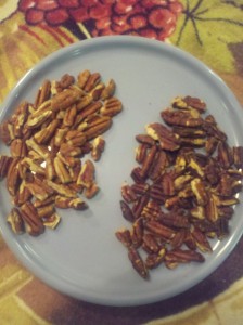 Pecans plain and toasted