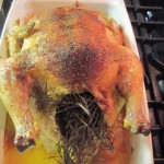 I stuffed my roast chicken with fresh rosemary!