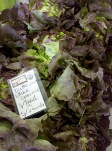 Fresh lettuce is perishable so plan your meals to use it up quick!