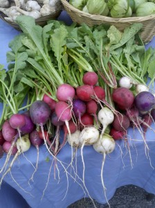I found these amazing radishes at the Boone, NC Farmer's Market!