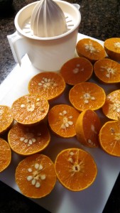 These are honey tangerines ~ so juicy and sweet!