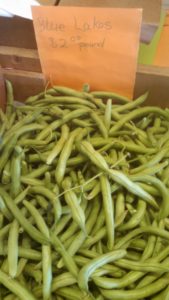 Farmer's Market June beans