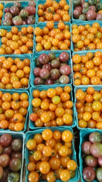 Tomatoes at Summer Market