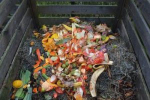 Compost bin w Green Waste